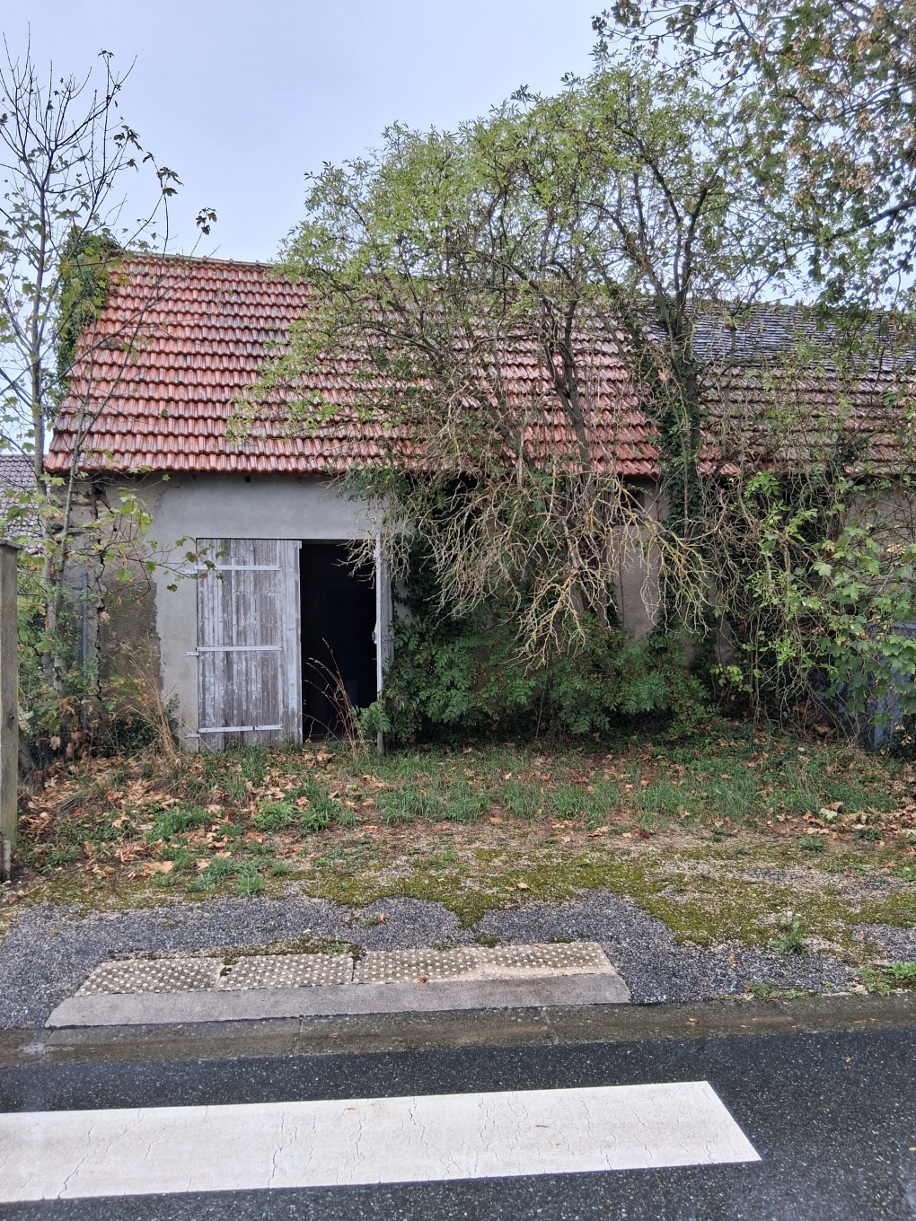 Grange 80m2 avec jardin à vendre - Bourg avec commodités