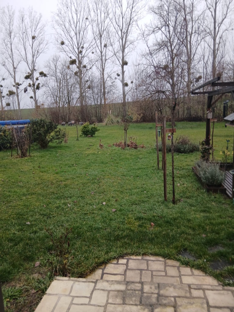 terrain allier